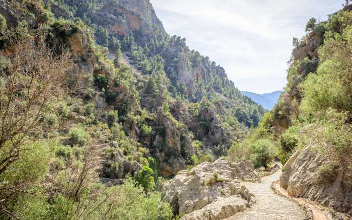 Inspirational Hike Nature