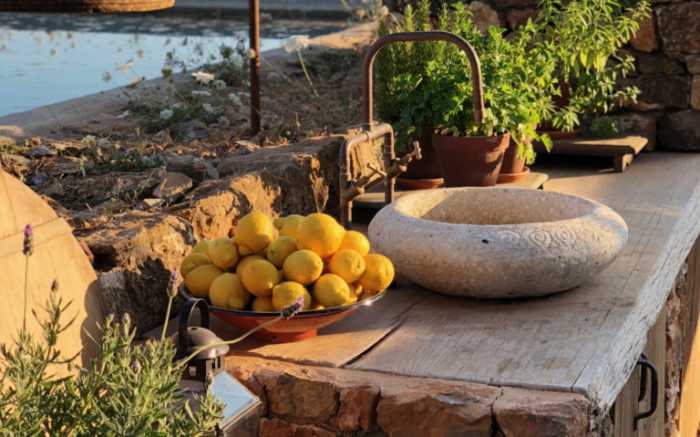 Abendessen Gemüsefarm