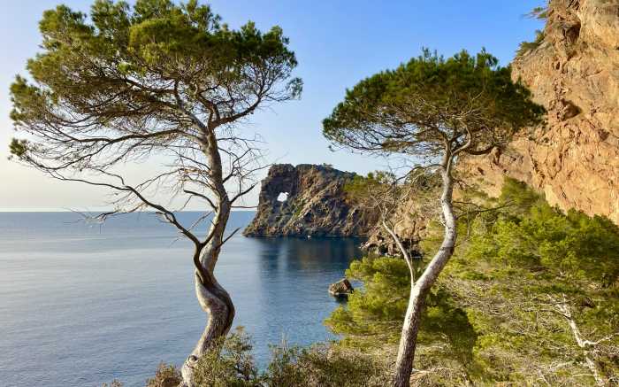 LifeXperiences DMC Authentic Mallorca2