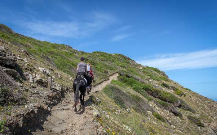 LifeXperiences DMC Menorca HorsebackRiding16
