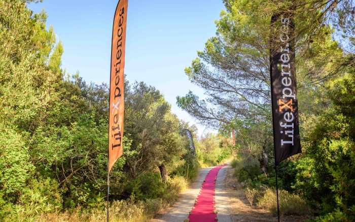 LifeXperiences Events Incentives