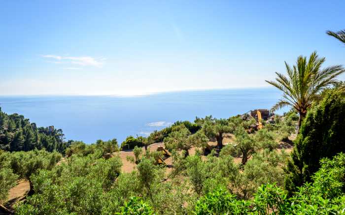 Mallorca Event Management Coaching