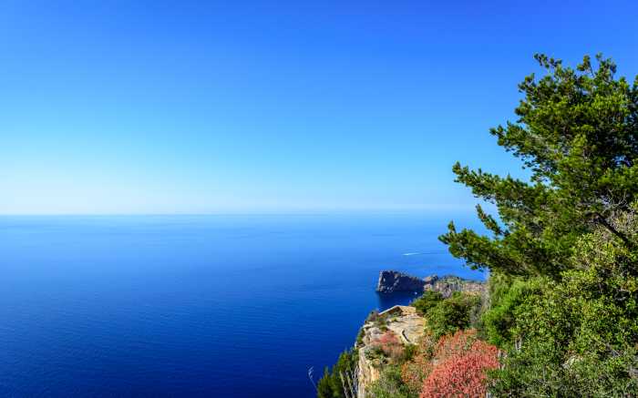 Hiking Adventure Ocean