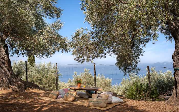 Mallorcan locan market2