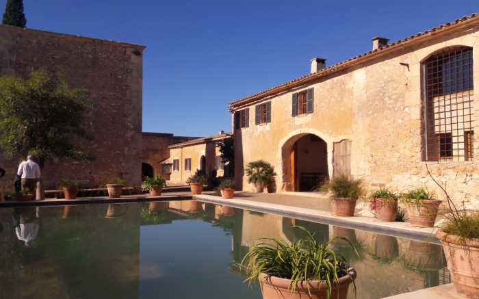 olive oil farm teamevent