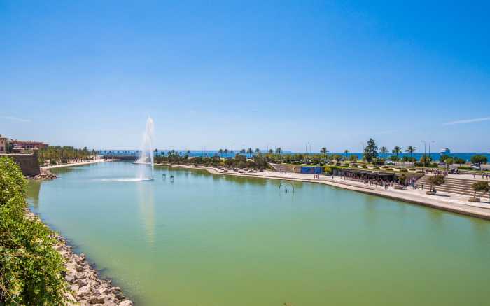 Segway Tour Sunshine