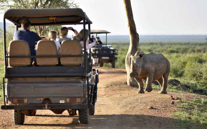 South Africa Incentive