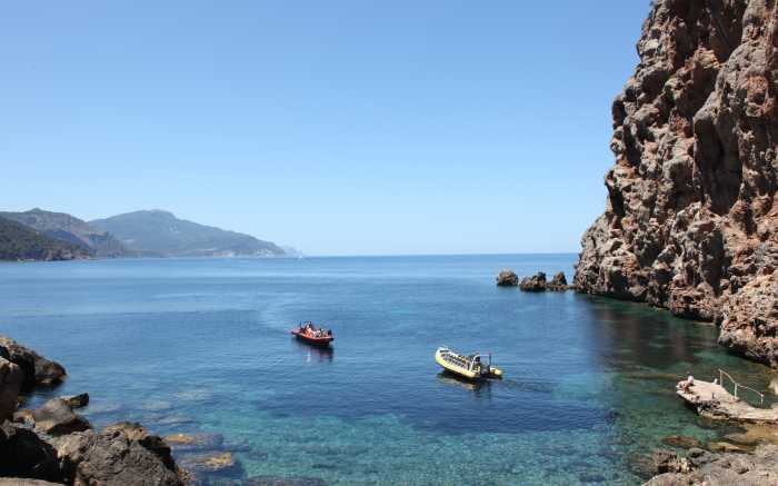 Speedboat Tour Nature
