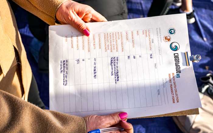 Beach Cleanup Mallorca LifeXperiences