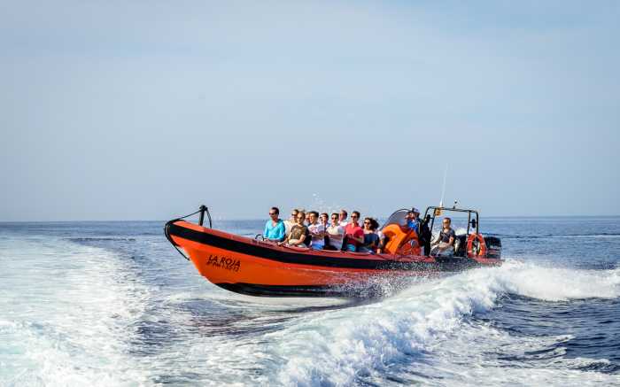 Speedboat Tour Action