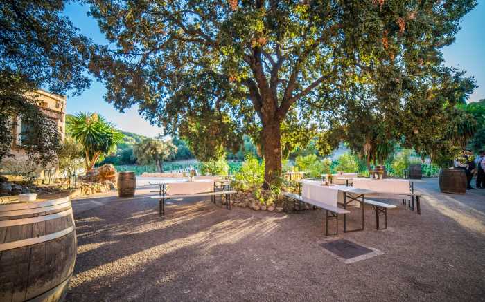 Wine Tasting Experience