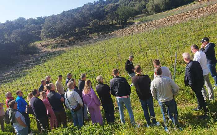 Wine Tour Bodega Visit Wine Tasting Mallorca