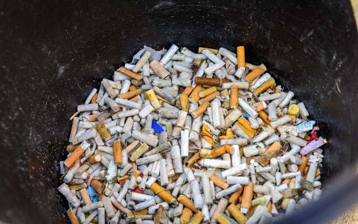 sustainability DMC Mallorca