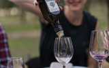 Olive oil tasting Balearics