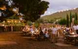 Destination Management Ibiza Farm To Table