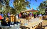 Event Agentur Mallorca Incentive Reise