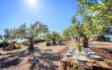 Event Management DMC Mallorca