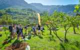 Eventagentur LifeXperiences