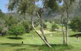 Golf Place