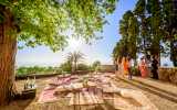 LifeXperiences DMC Ibiza