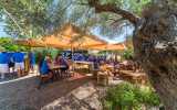 Mallorca DMC Incentive Eventmanagement