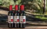 Weinprobe Balearen