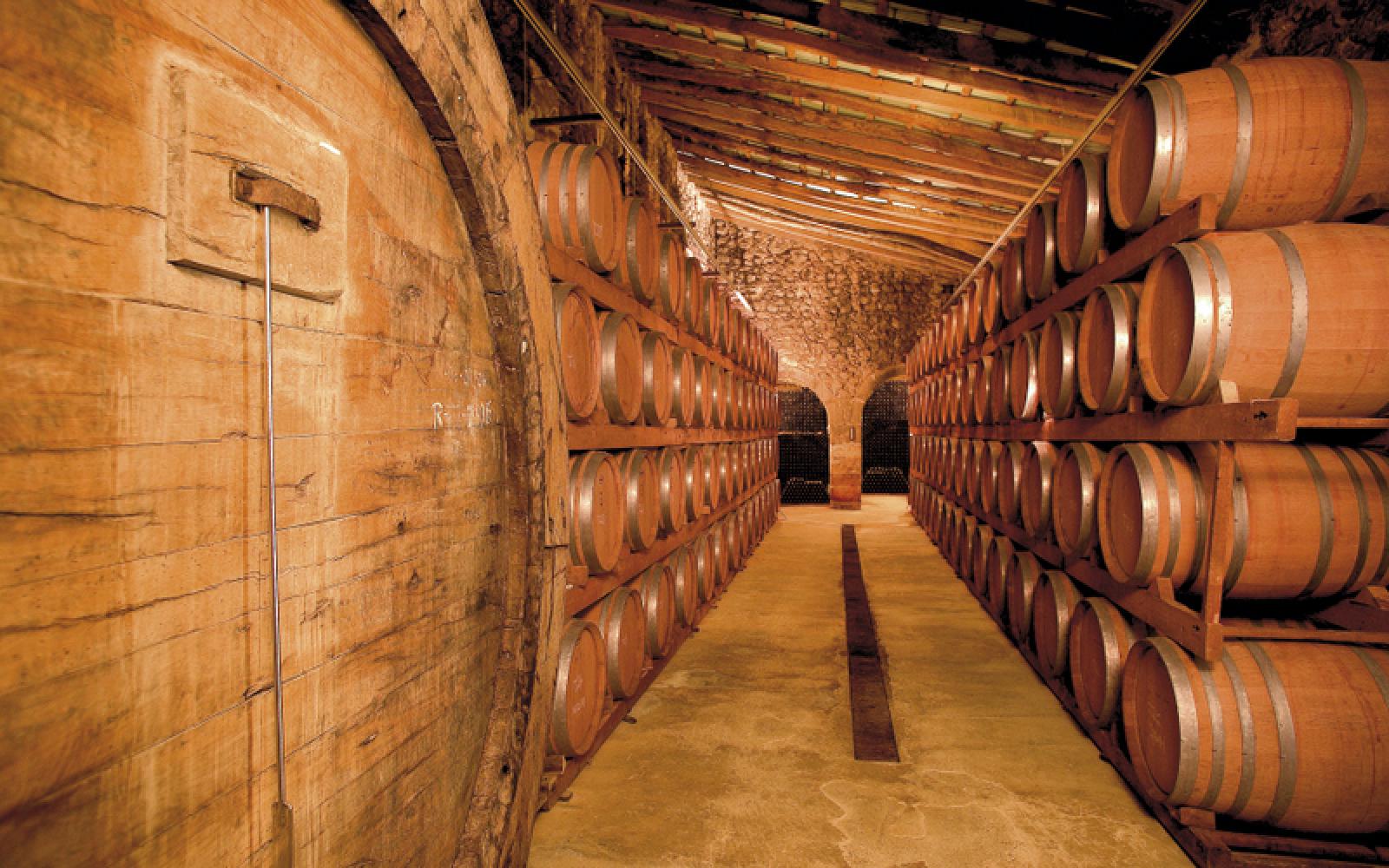 Weinprobe Experience