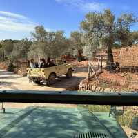 AuthenticMallorca LifeXperiences 2