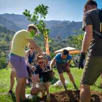 CSR Incentives Mallorca