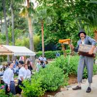 DMC Incentive Mallorca