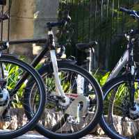 E Bike 6