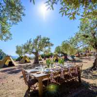 Event Management Mallorca Coaching