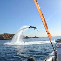 Flying Dolphin Event
