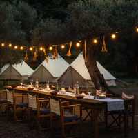 Glamping inicio 2