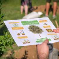 Klimanotstand mallorca