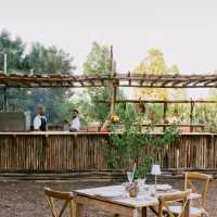 LifeXperiences Incentives Ibiza FarmToTable3