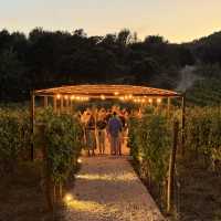 LifeXperiences Incentives Mallorca 1