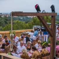 Party Event Motto Mallorca