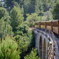 Tren de Soller2