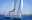 Segel Regatta Cruisen