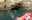 Sea Caving Incentive
