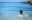 Live Saving Teambuilding Mallorca