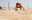 Strand Olympiade Teambuilding 