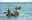 Raft Building Teams