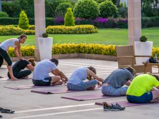Group Yoga 