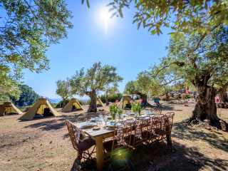 Event Management Mallorca Coaching
