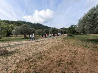Event space Mallorca