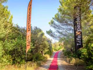 LifeXperiences Events Incentives