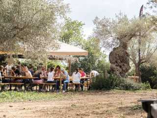 Mallorca Event Area