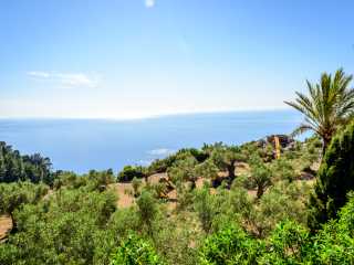 Mallorca Event Management Coaching